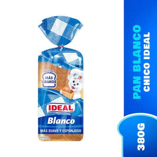 pan molde blanco chico 380g
