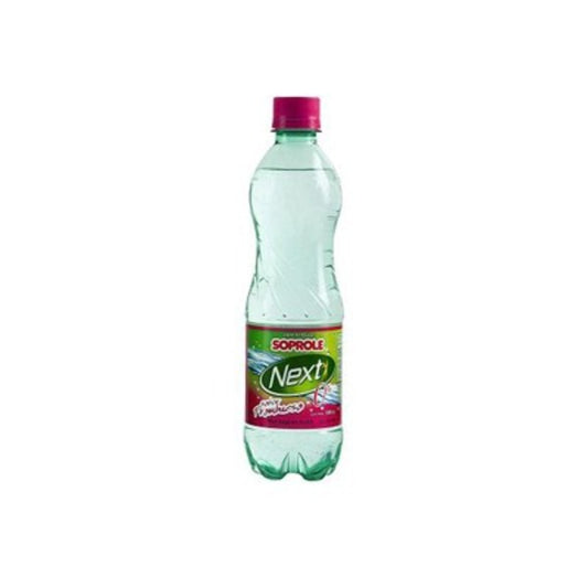 AGUA DE FRAMBUESA CON GAS NEXT